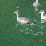 paddeltour2005(kleinbild)_031