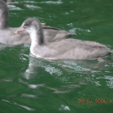 paddeltour2005(kleinbild)_032