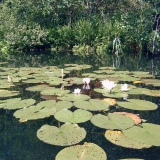 paddeltour2005(kleinbild)_071