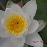 paddeltour2005(kleinbild)_075