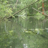 paddeltour2005(kleinbild)_079