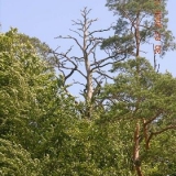 paddeltour2005(kleinbild)_085