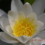 paddeltour2005(kleinbild)_086
