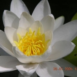 paddeltour2005(kleinbild)_087