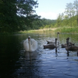 Masuso_2010-07-16_12-39-55_theo
