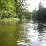 Masuso_2010-07-17_17-11-57_theo