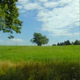 DIGITAL CAMERA