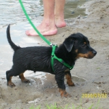 Masuso_2010-07-22_15-57-21_imke