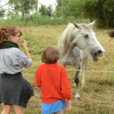 2012-09-01_10-27-10_171_Pfadis
