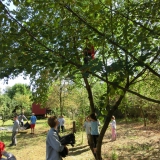 2012-09-02_11-01-42_247_Pfadis