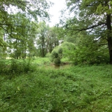 CIMG2500