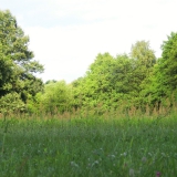 CIMG2729