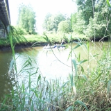 M0014530