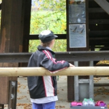 2013-10-26__11-56__CIMG3510-bearbeitet