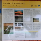 2013-10-26__12-02__CIMG3521-bearbeitet
