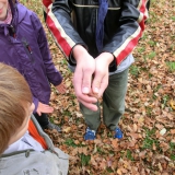 2013-10-26__12-23__CIMG3533-bearbeitet