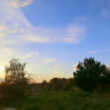 2013-10-26__18-33__CIMG3580-bearbeitet
