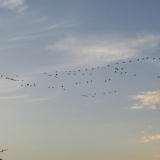2013-10-26__18-33__CIMG3581-bearbeitet