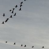 2013-10-26__18-34__CIMG3584-bearbeitet