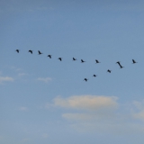 2013-10-26__18-36__CIMG3586-bearbeitet