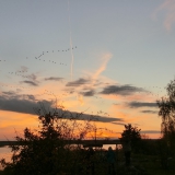 2013-10-26__19-08__CIMG3600-bearbeitet