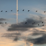 2013-10-26__19-08__CIMG3601-bearbeitet