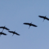 2013-10-26__19-09__CIMG3604-bearbeitet