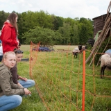 DSC04384-bearbeitet