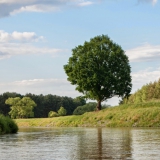 DSC04495-bearbeitet
