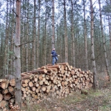 2015-01-17__12-54__CIMG5656-bearbeitet
