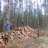 2015-01-17__12-54__CIMG5657-bearbeitet