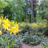 2015-05-14__14-35__CIMG5956-bearbeitet