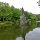 2015-05-14__14-59__CIMG5961-bearbeitet