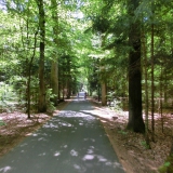 2015-05-15__13-38__CIMG6037-bearbeitet