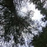 2015-08-04__15-06_Pfadfinderlager-Gardersee_CIMG65