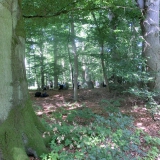 2015-08-06__11-05_Pfadfinderlager-Gardersee_CIMG67