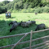 2015-08-06__11-48_Pfadfinderlager-Gardersee_CIMG67