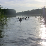 2015-08-06__19-21_Pfadfinderlager-Gardersee_CIMG67