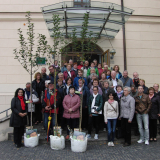 Wittenberg (21. Oktober 2017)
