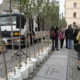 17-10-21_Wittenberg_04
