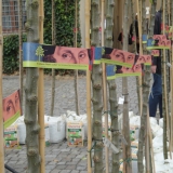 17-10-21_Wittenberg_05