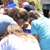 20180705_140846_DSC_4797