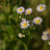 20180705_185618_DSC_4826