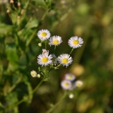 20180705_185632_DSC_4827